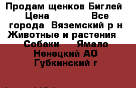 Продам щенков Биглей › Цена ­ 15 000 - Все города, Вяземский р-н Животные и растения » Собаки   . Ямало-Ненецкий АО,Губкинский г.